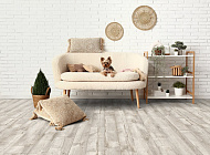 Линолеум MOTIV DANISH OAK 2_DA02  бытовой, ширина 2,5 м/2,2мм