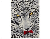 Ковер COLOR 1.2*1.7 дизайн L819A L.GREY/RED