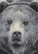 Ковер COLOR 1.2*1.7 дизайн L823A L.GREY/YELLOW