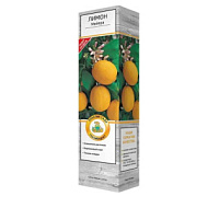 Цитрус Лимон Мейера 1шт