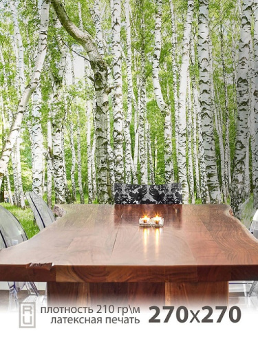 Фотообои Flizelini Березовая роща 2,7*2,7 м