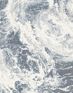 Ковер SOPHISTIC GREY 8552 AN76 - 2м*3м