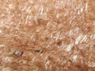 Жидкие шелковые обои ДекорСтенов " шоколад" № 480  (12 шт)