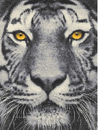 Ковер COLOR 1.2*1.7 дизайн L821A L.GREY/YELLOW