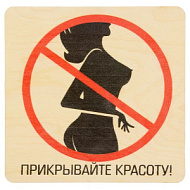 Табличка "Прикрывайте красоту" береза 20*20 см