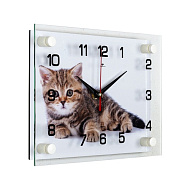 Часы настенные, серия: Животный мир, "Котенок", плавный ход, 20 х 26 см