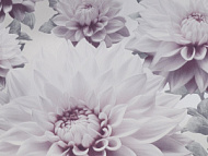 909700 Обои Elysium винил. на бумажной основе Лулу 0,53 х 10м