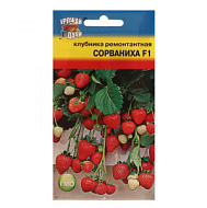 Клубника Сорваниха F1  5шт