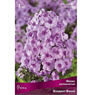 Флокс Фондант Фэнси метельчатый 1шт/Phlox paniculata Fondant Fancy